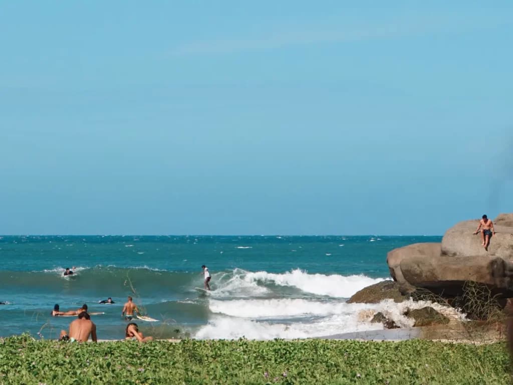 Peanut Farm - Image 1