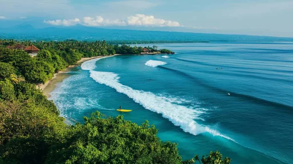 Bali Tropic