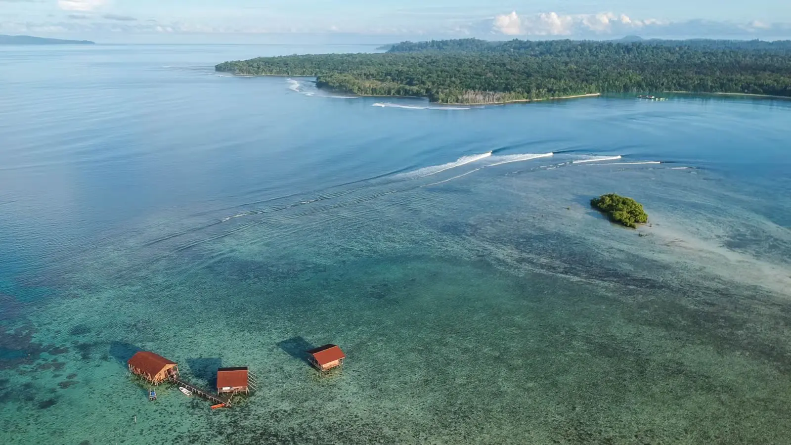Bay of Plenty - Image 1