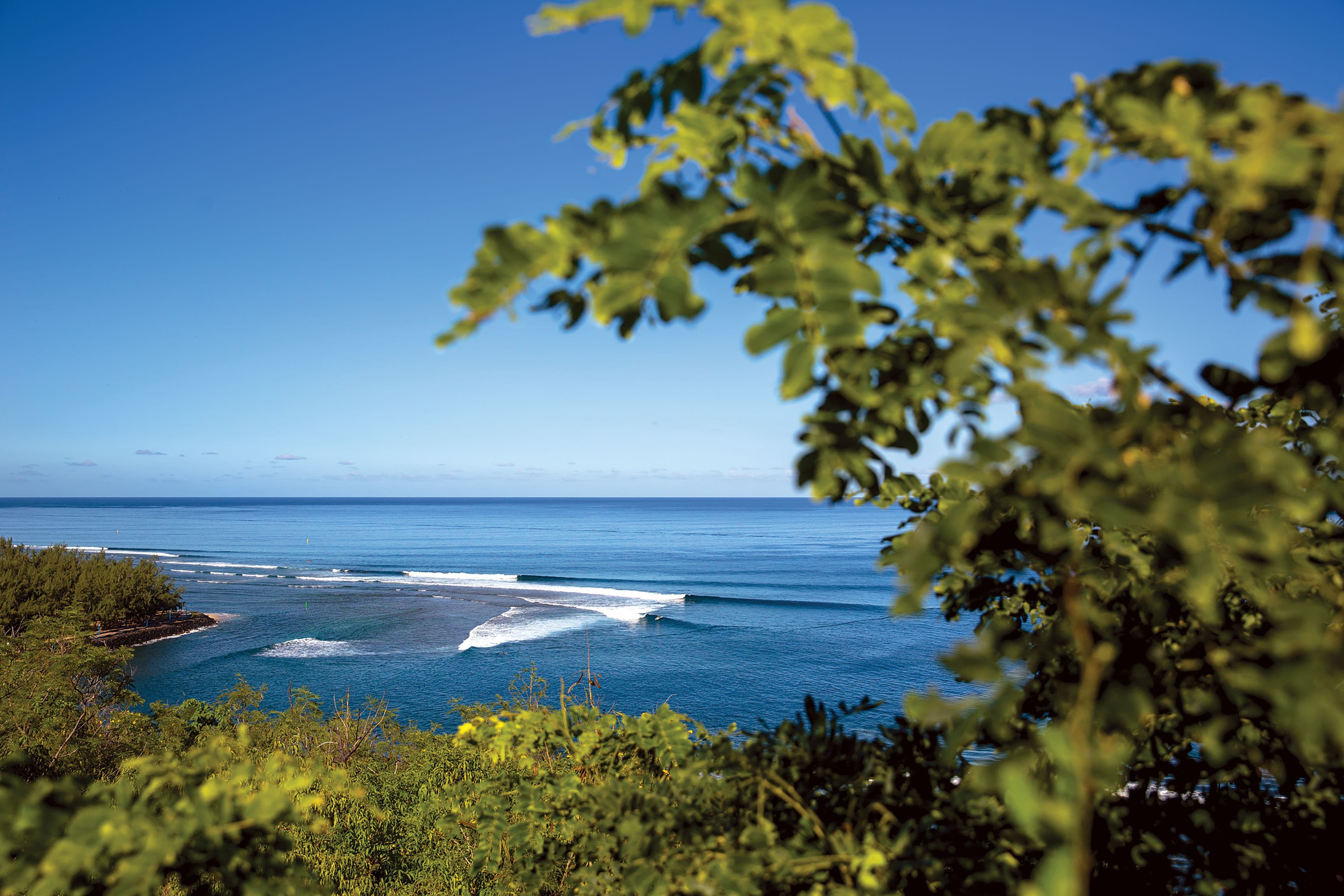 Cap Requin - Image 1