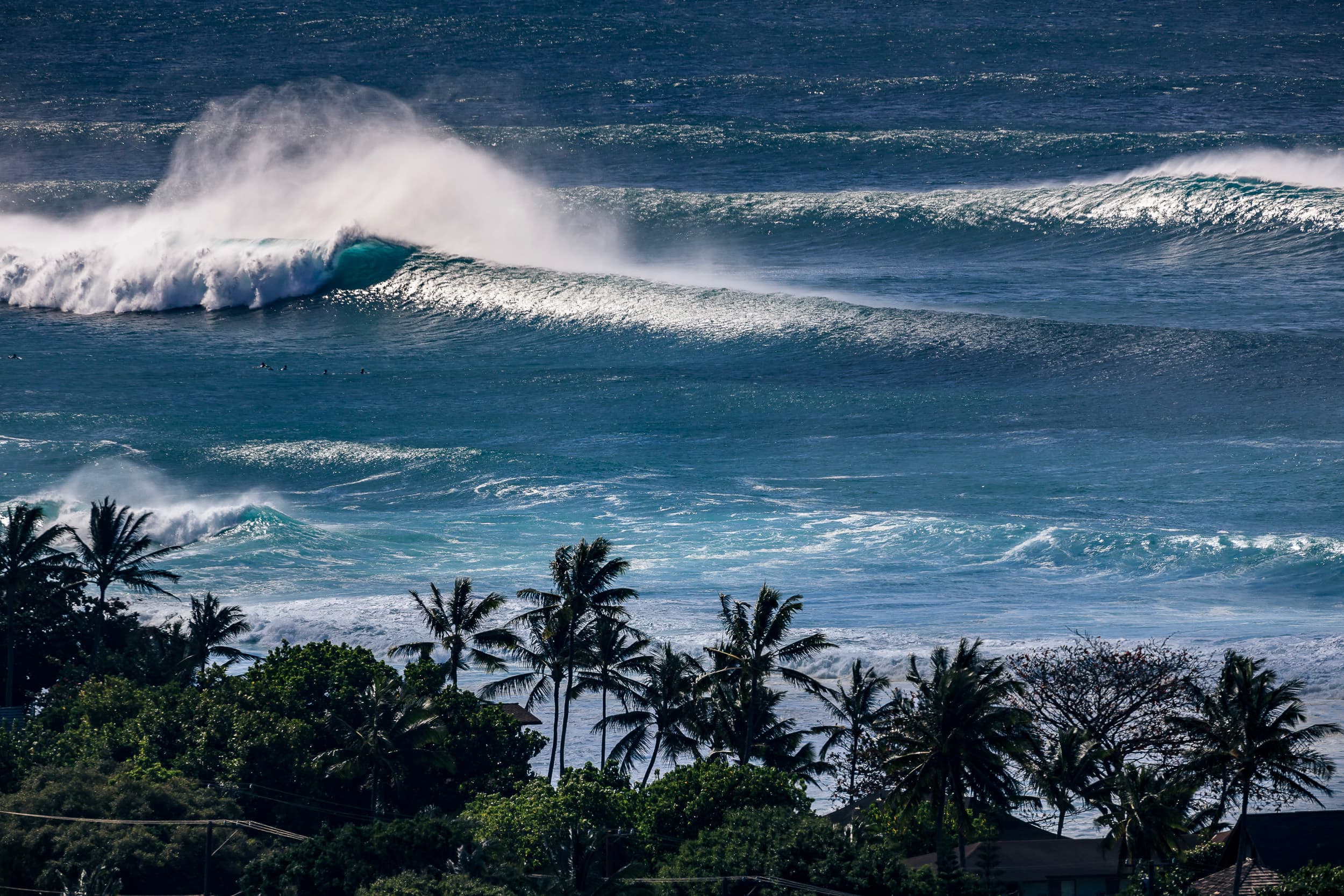 Kammieland - Image 1