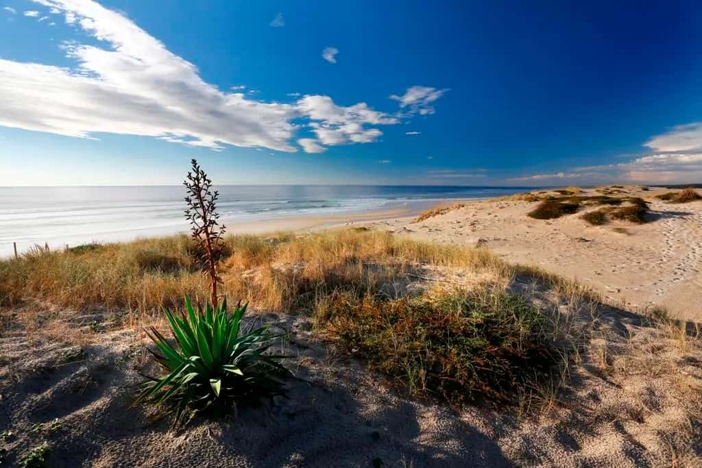 Plage du Vivier