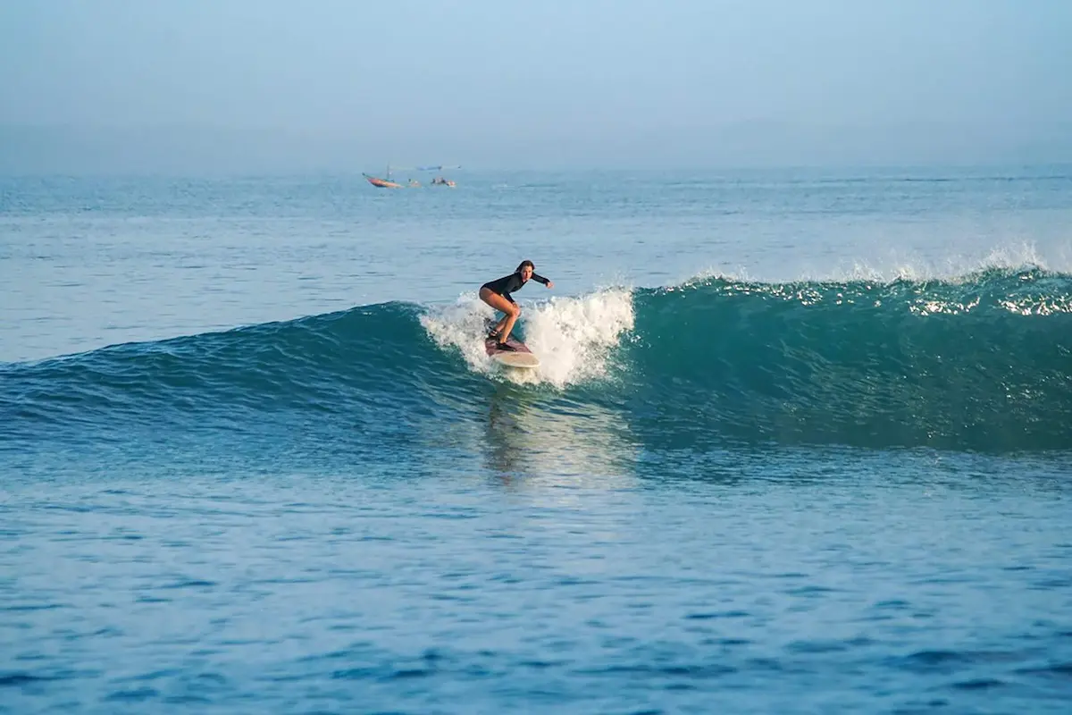 Tiger Tracks Right - Image 1