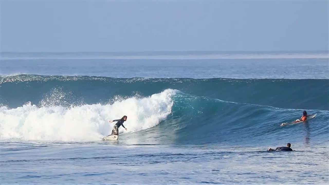 Tropical Left