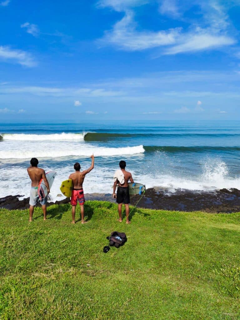 Pig Stone - Headland Left - Image 1
