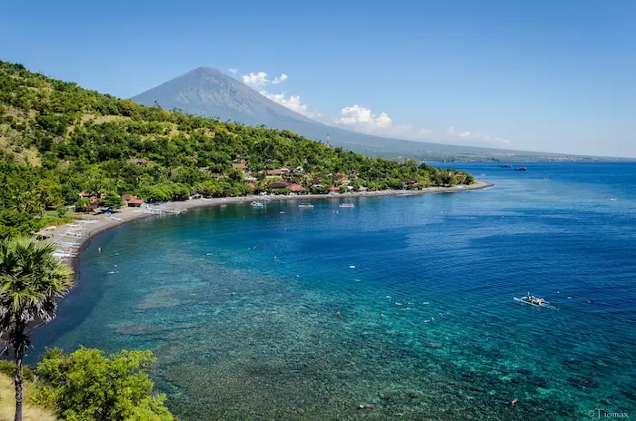 Amed